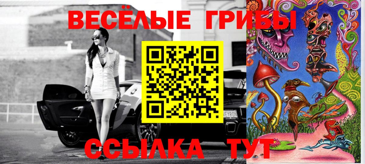 Галлюциногенные грибы GOLDEN TEACHER  Псилоцибиновые грибы Magic Shrooms  Вход с VPN  Серов 